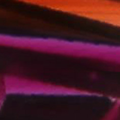 Tortoiseshell